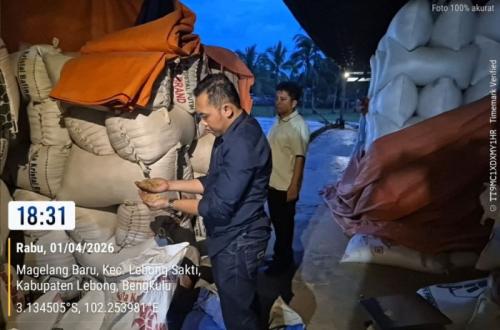 Bulog Rejang Lebong serap gabah dari petani lokal
