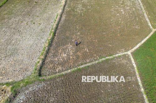 Pompa air pertanian untuk mitigasi El Nino 2026