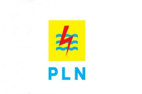 PLN undang kerja sama studi untuk pengembangan geothermal